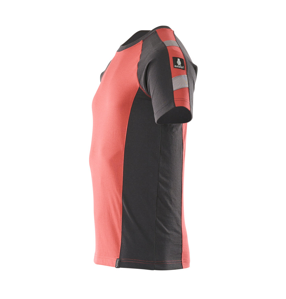 360 view frame 5